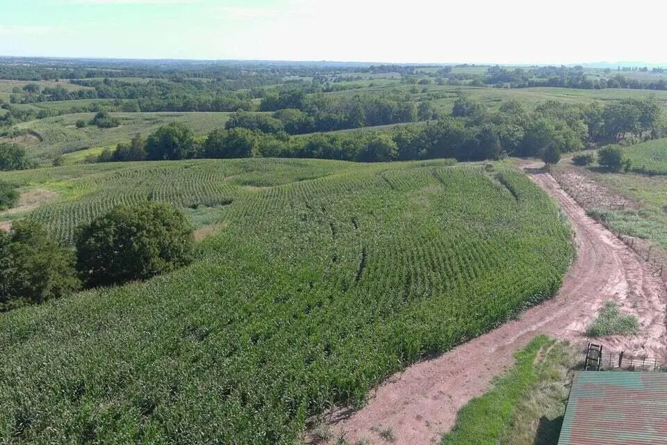 3330 Kentucky 1770, Stanford, KY 40484 - #1