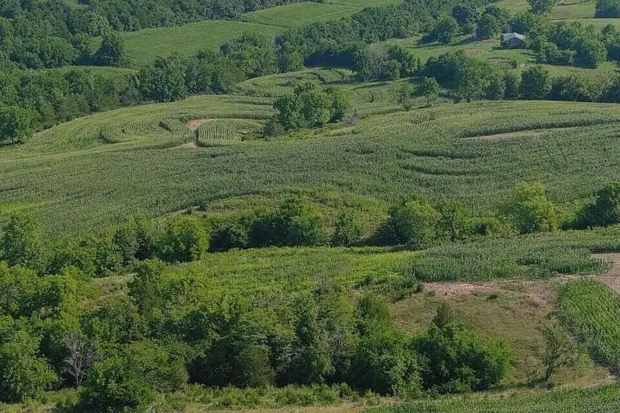 3330 Kentucky 1770, Stanford, KY 40484 - #3