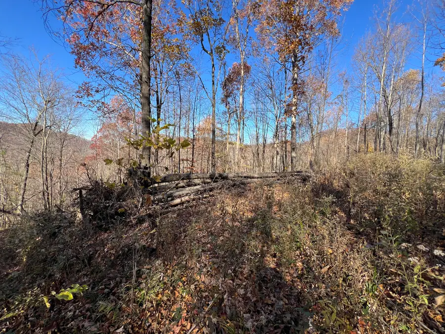 8888 Eades Drive, Irvine, KY 40336 - #2