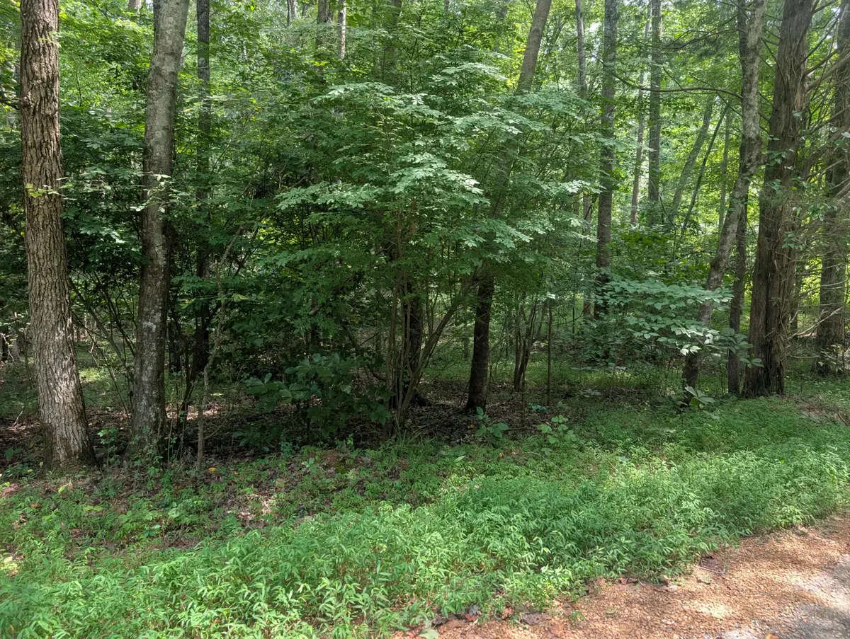 436 & 437 Kurtz Drive, Murray, KY 42071 - #1