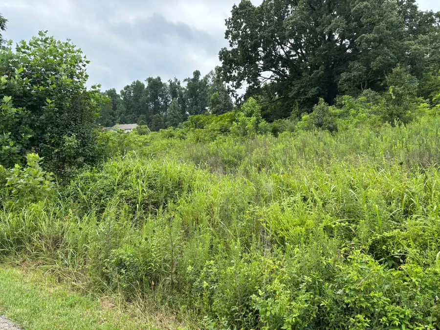 Lot 44 Coral Lane, Mount Vernon, KY 40456 - #2