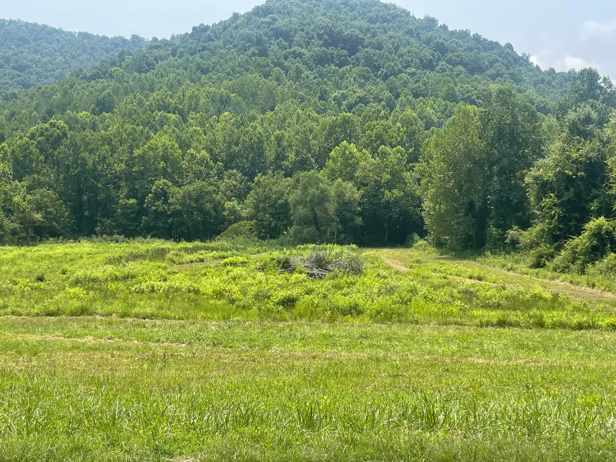 0 Moore Creek Road, Flat Lick, KY 40935 - #1