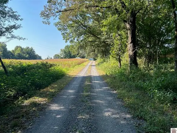 0 Arnett Ln Lane #Proposed Tract B, Murray, KY 42071