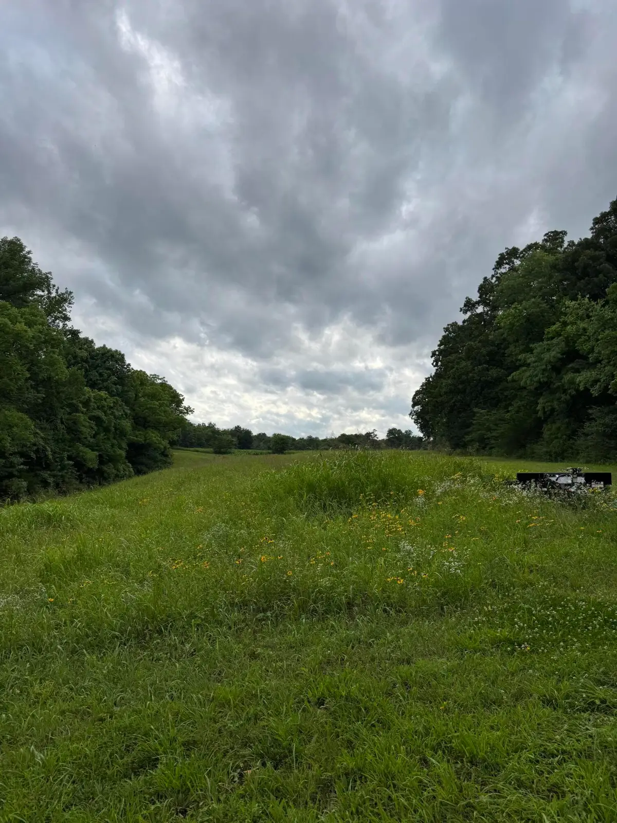973 Coyote Ridge Road, Cadiz, KY 42211 - #1