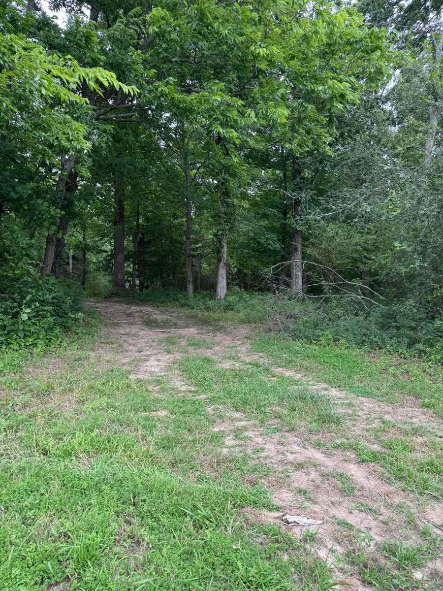 973 Coyote Ridge Road, Cadiz, KY 42211 - #3