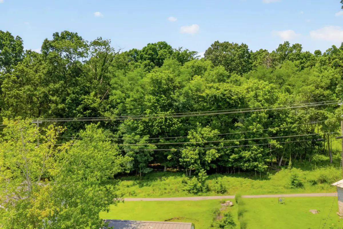 Lot 12 Holly Lane, Kuttawa, KY 42055 - #1