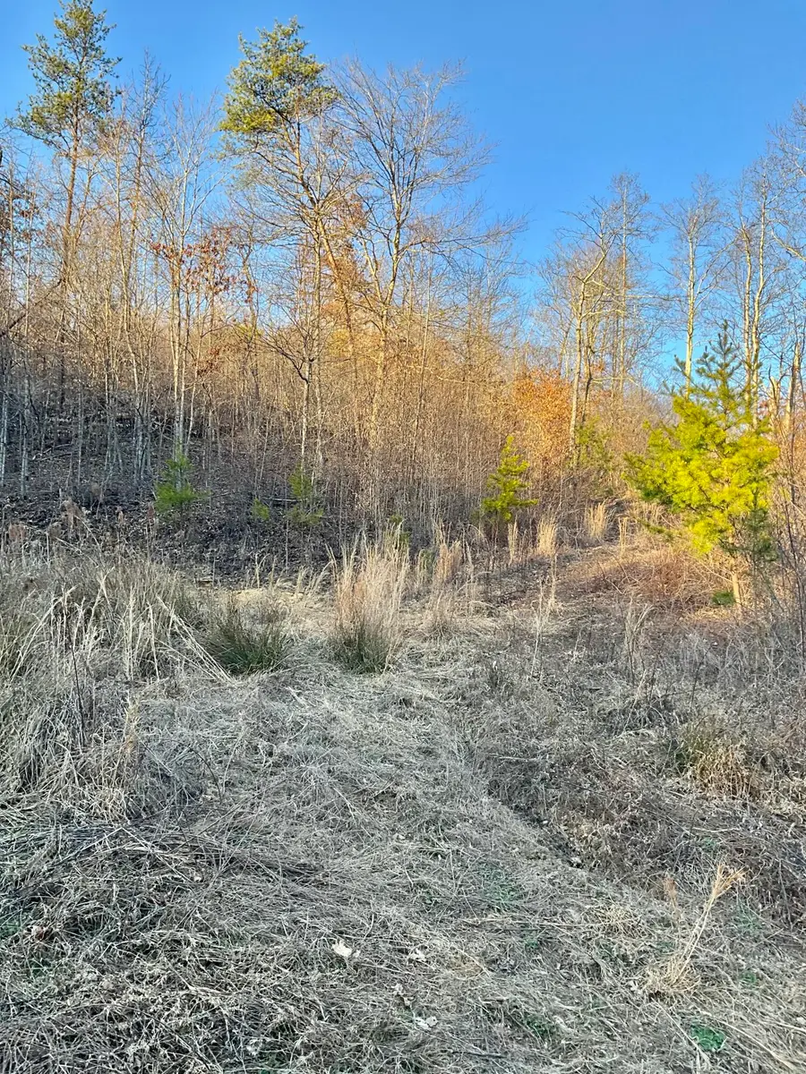 0 Bull Hollow Road, Manchester, KY 40962 - #2