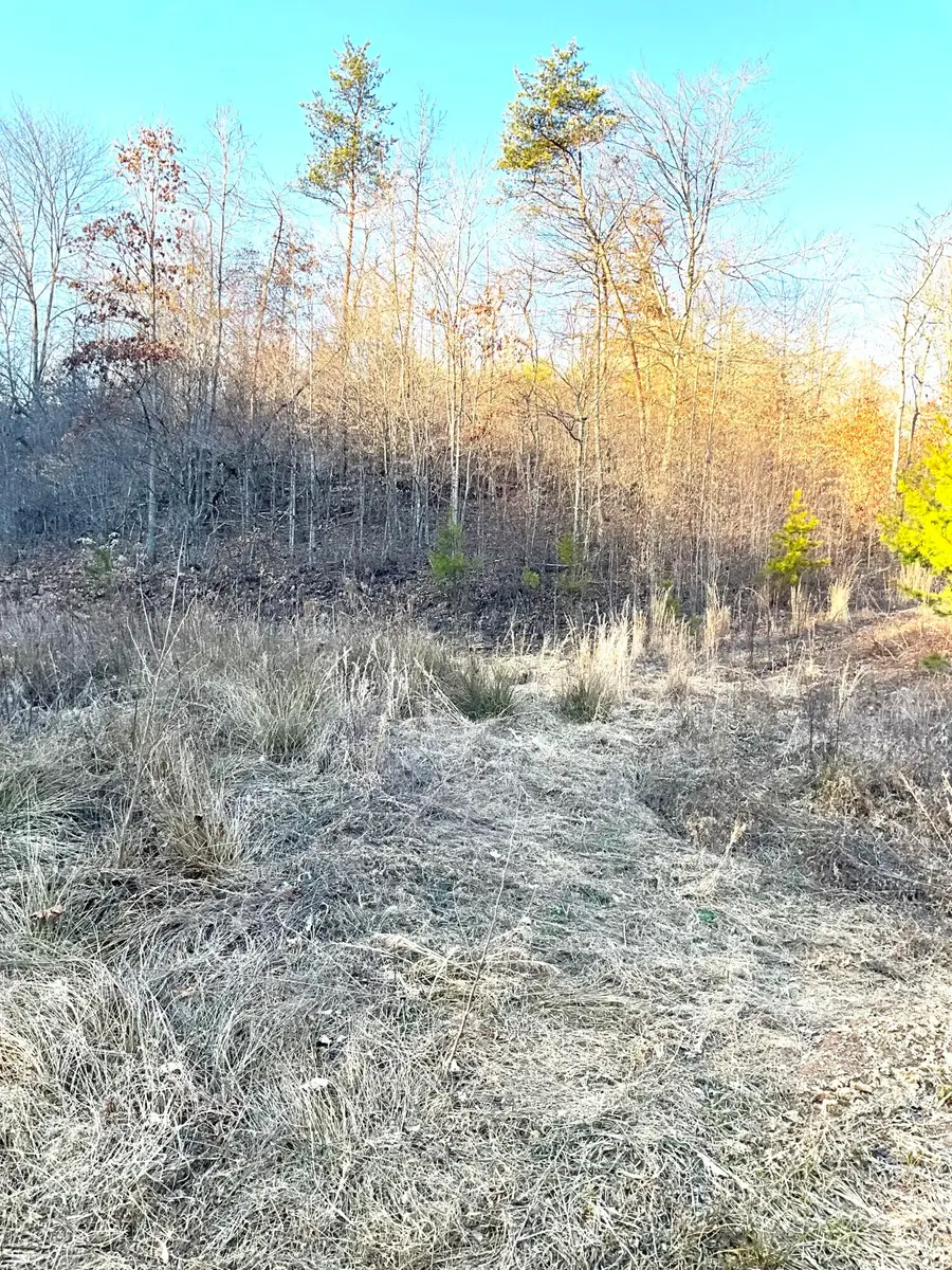 0 Bull Hollow Road, Manchester, KY 40962 - #3