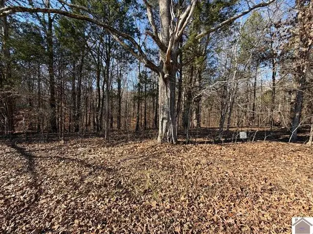 Lot 46 Bayridge Road, New Concord, KY 42076 - #1