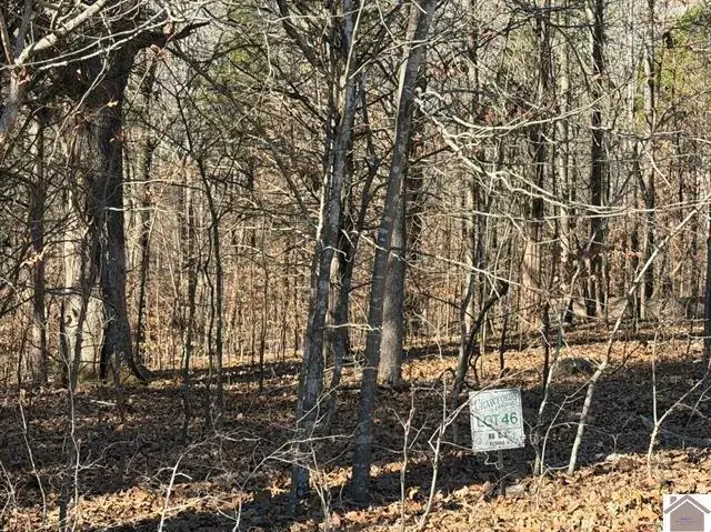 Lot 46 Bayridge Road, New Concord, KY 42076 - #3