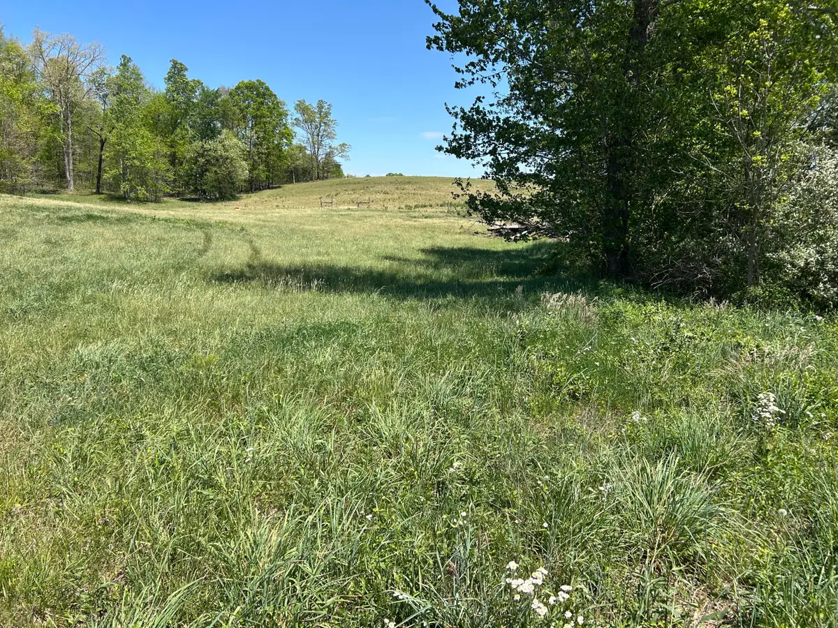 00 Kentucky 1394 Highway, East Bernstadt, KY 40729 - #1
