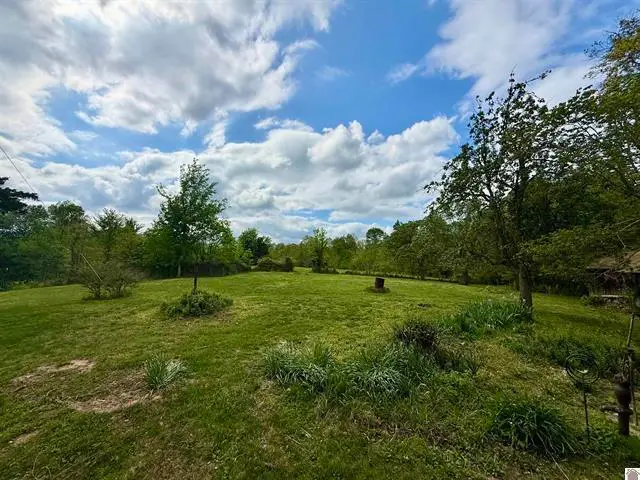 9872 State Highway 93, Eddyville, KY 42038 - #2