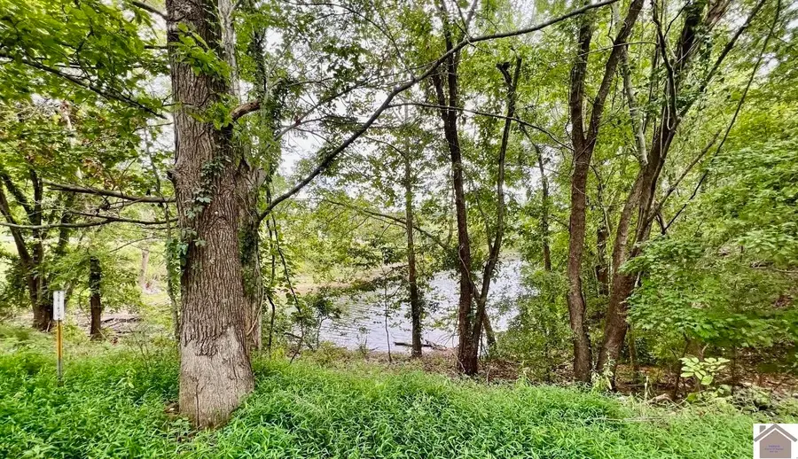 1 1 Magnolia Dr Drive, Kuttawa, KY 42055 - #2