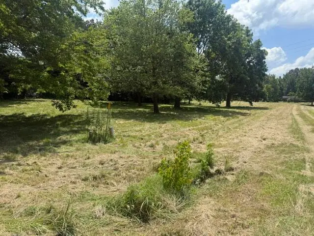 8120 Woodville Road, West Paducah, KY 42086 - #3