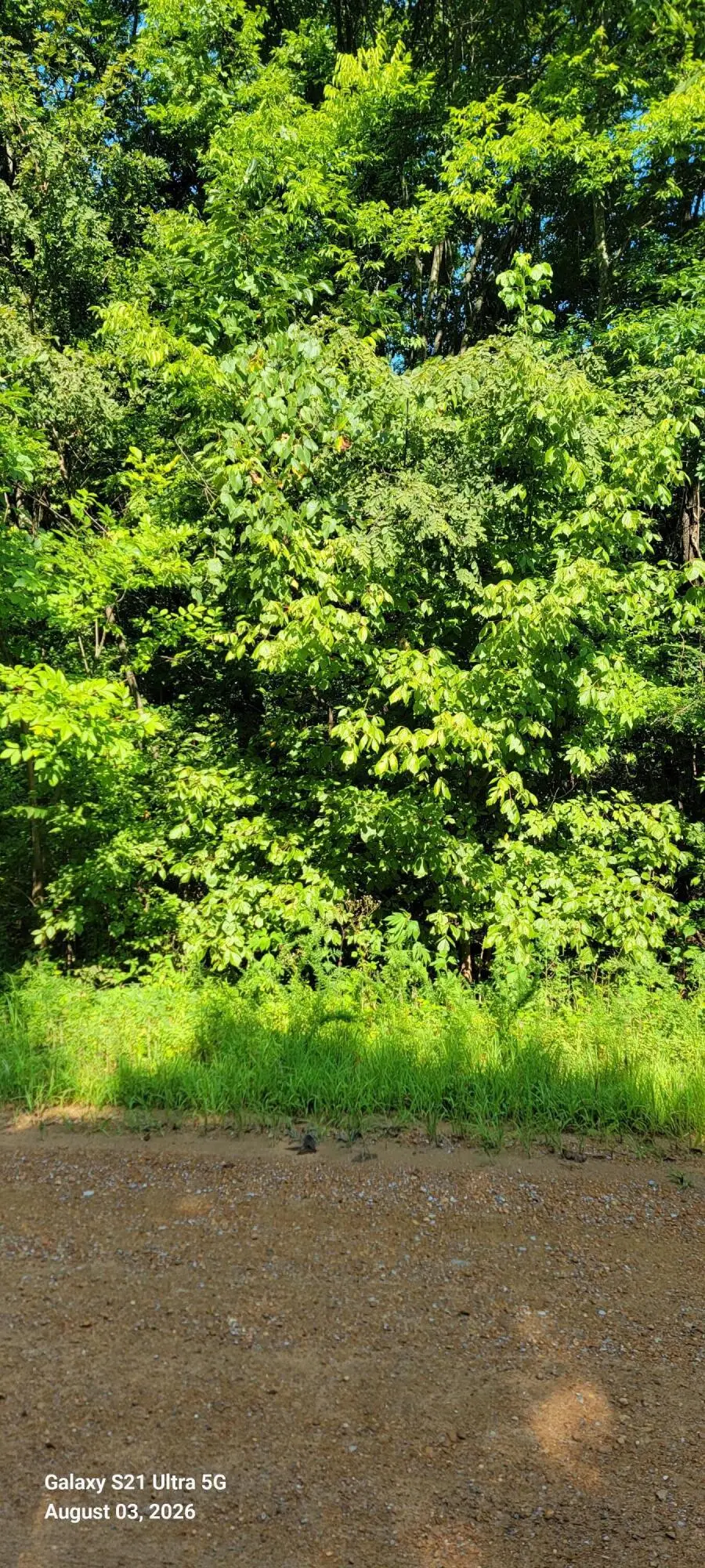 4625 Old Woodville Road, Kevil, KY 42053 - #1