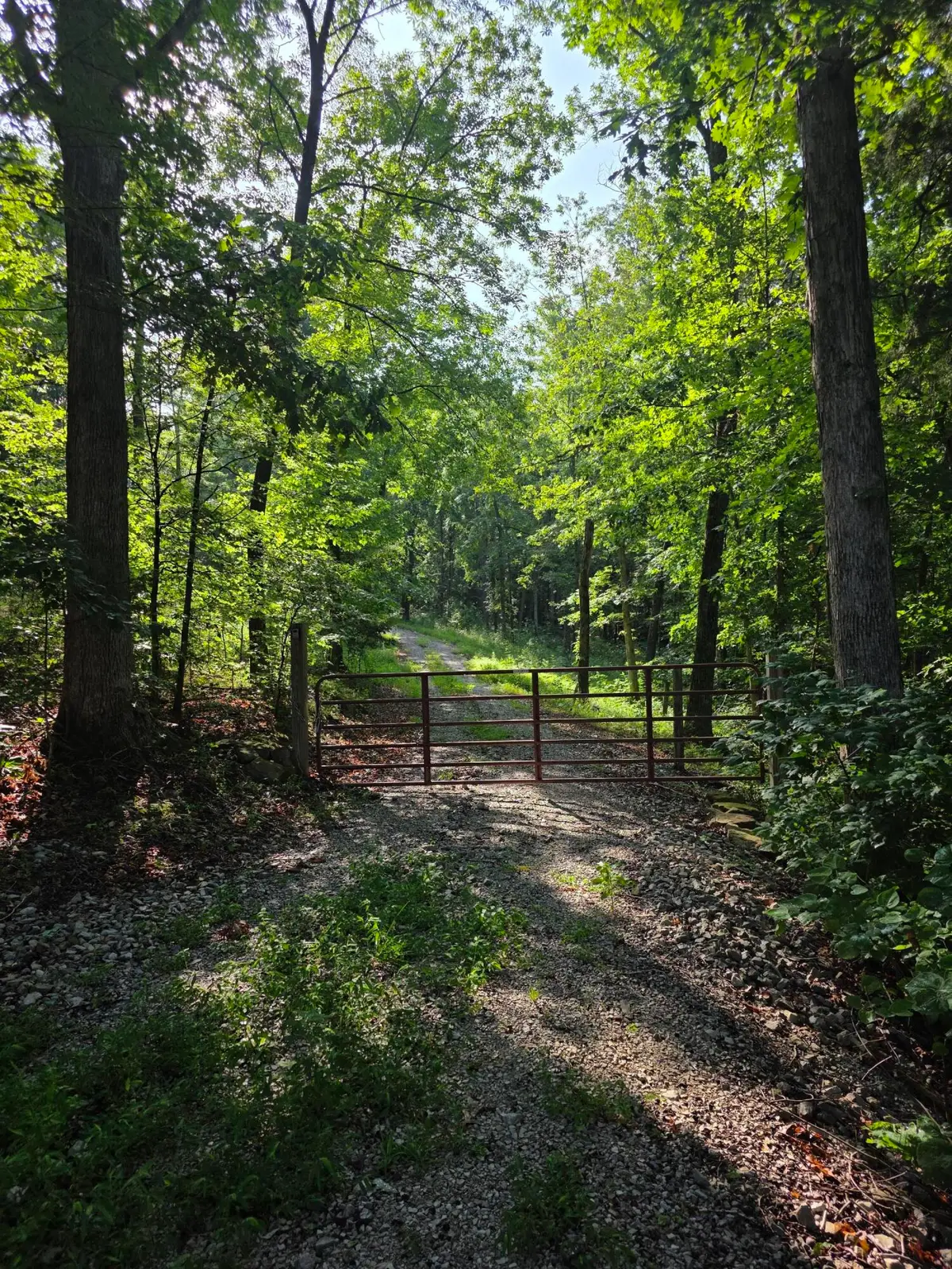 2453 Ky-1258, Monticello, KY 42633 - #1