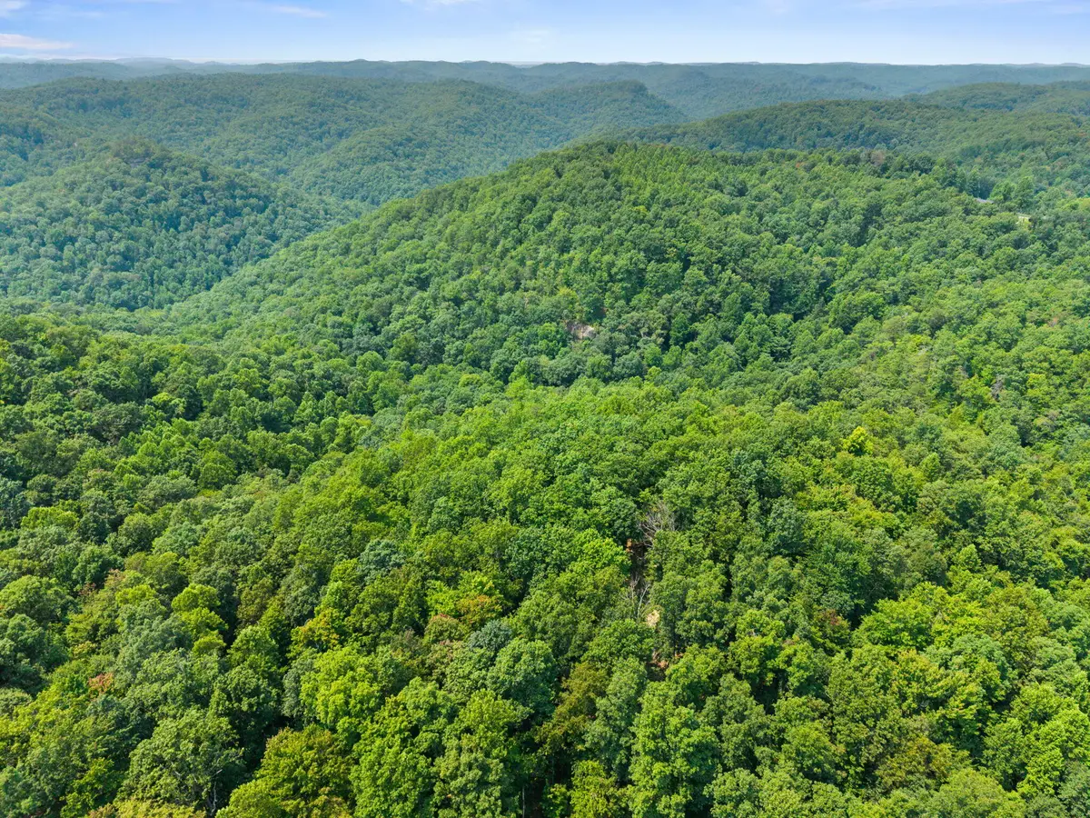 Lot 86, 65 Pinecrest Drive, Frenchburg, KY 40322 - #1
