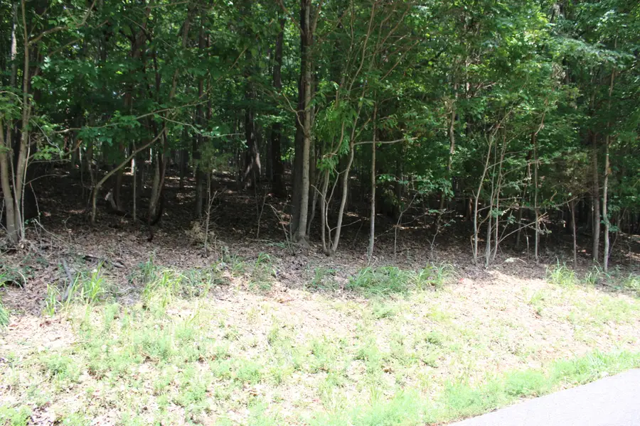 Lot 122 Palisades Drive #53F-122, Eddyville, KY 42038 - #2
