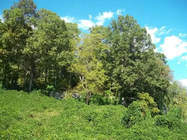 8888 Hales Fork Road, Dewitt, KY 40930