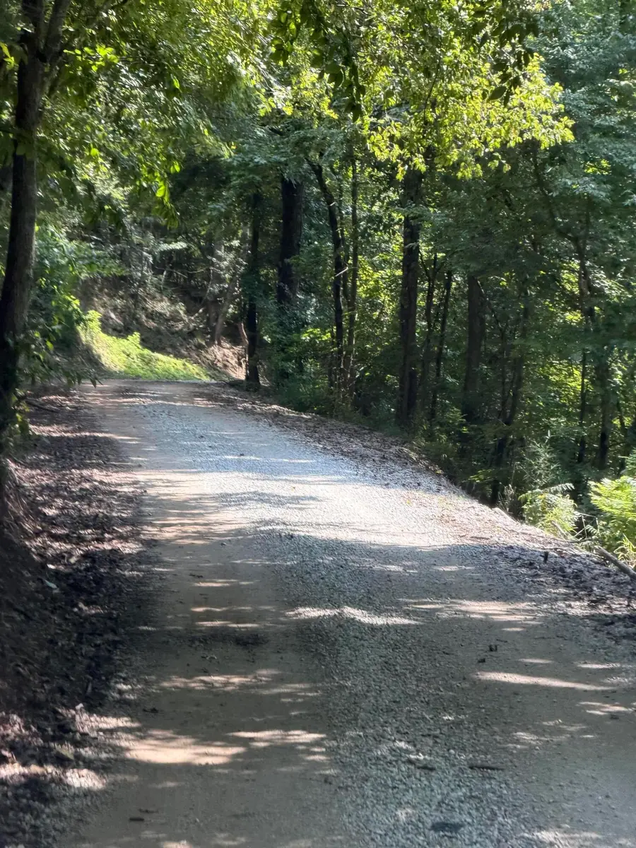 8888 Hales Fork Road, Dewitt, KY 40930 - #2