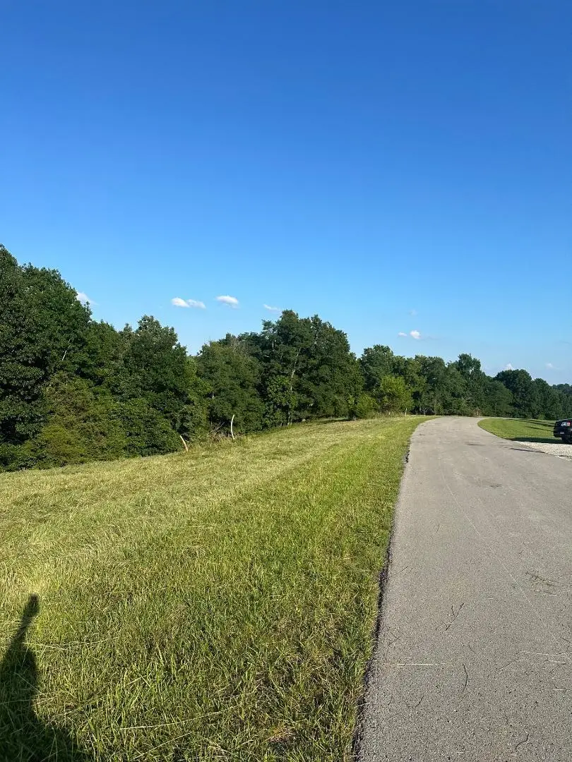 30  Landings Court, Willisburg, KY 40078 - #1