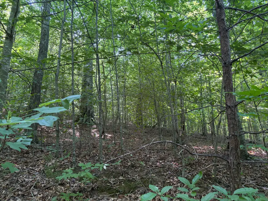 28 Squib-ano Road, Somerset, KY 42501 - #3