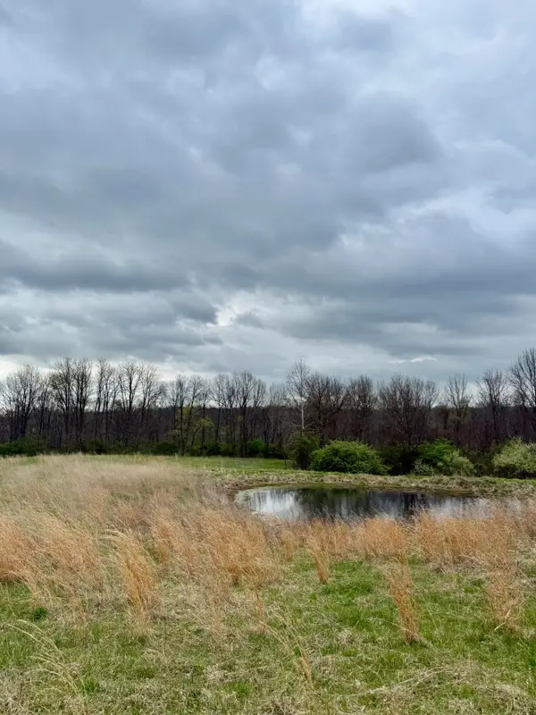 4151 Akin Lane, Burlington, KY 41005