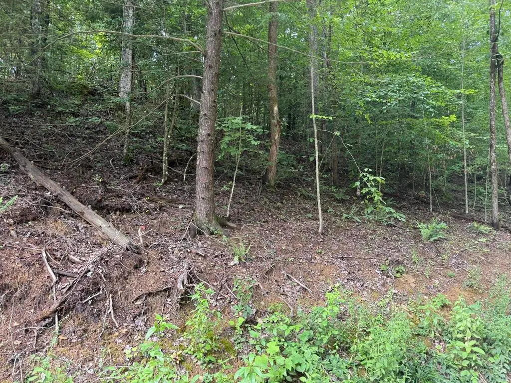 35 Low Ridge Road, Campton, KY 41301 - #1