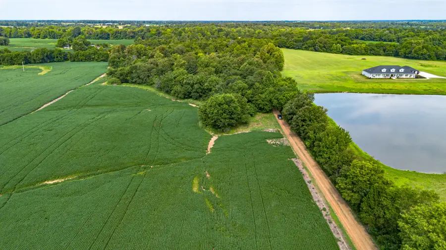 1525 McKendree Church Rd  Mckendree Church Road #Tract 1, Kevil, KY 42053 - #2