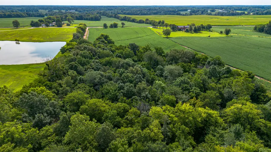 1525 McKendree Church Rd  Mckendree Church Road #Tract 1, Kevil, KY 42053 - #3