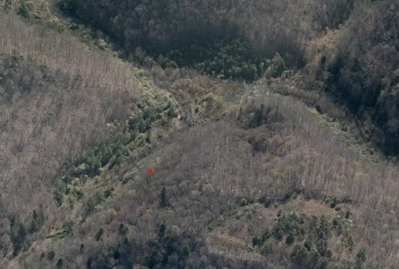 0 Lynn Bark Fork Road, Inez, KY 41224 - #2