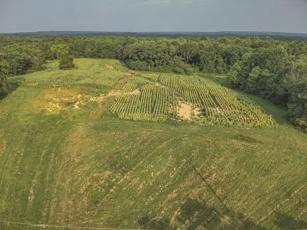 1134 Pisgah Road, Smithland, KY 42081