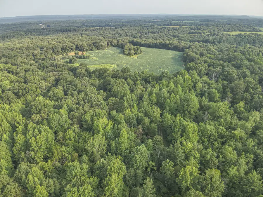 1134 Pisgah Road, Smithland, KY 42081 - #3