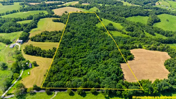 223A Plum Lick Road, Paris, KY 40361