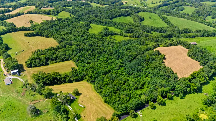 223B Plum Lick Road, Paris, KY 40361 - #3