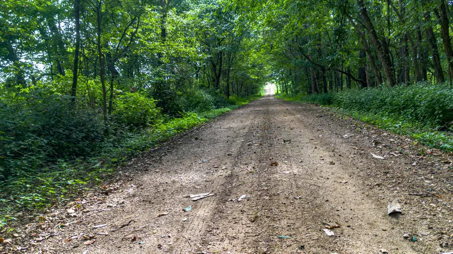 1525  Mckendree Church Road #Tract 3, Kevil, KY 42053 - #3