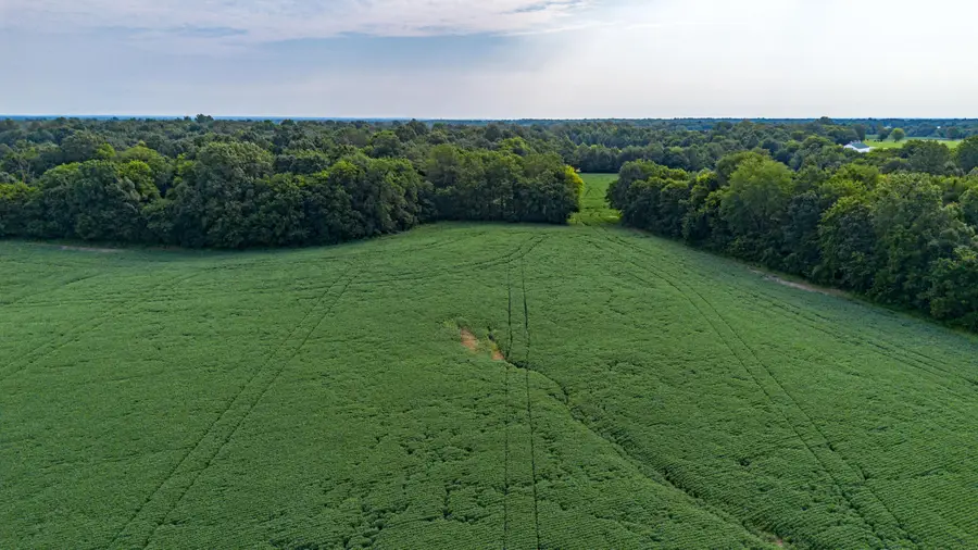 1525  Mckendree Church Road #Tract 4, Kevil, KY 42053 - #2