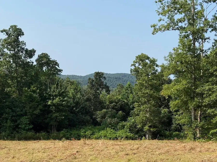 999 Trillium Trail, Livingston, KY 40445 - #2