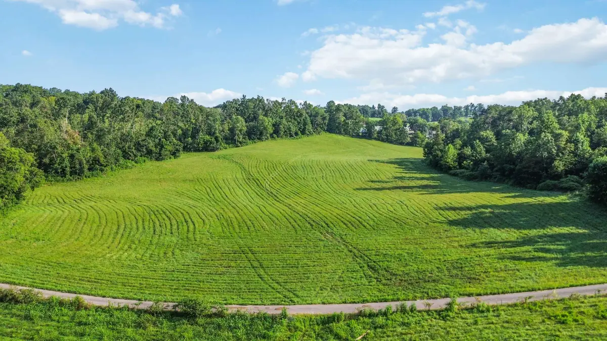 21 Acres  Dug Road, Monticello, KY 42633 - #1