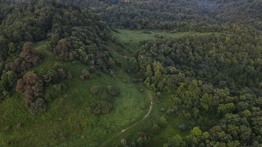 3073 Long Creek Road, Salyersville, KY 41465 - #3