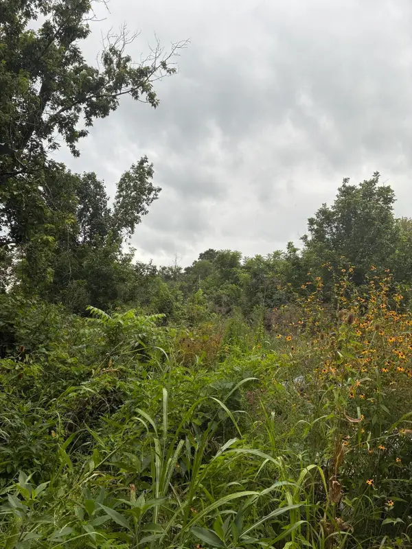 3198 Red House Road, Richmond, KY 40475