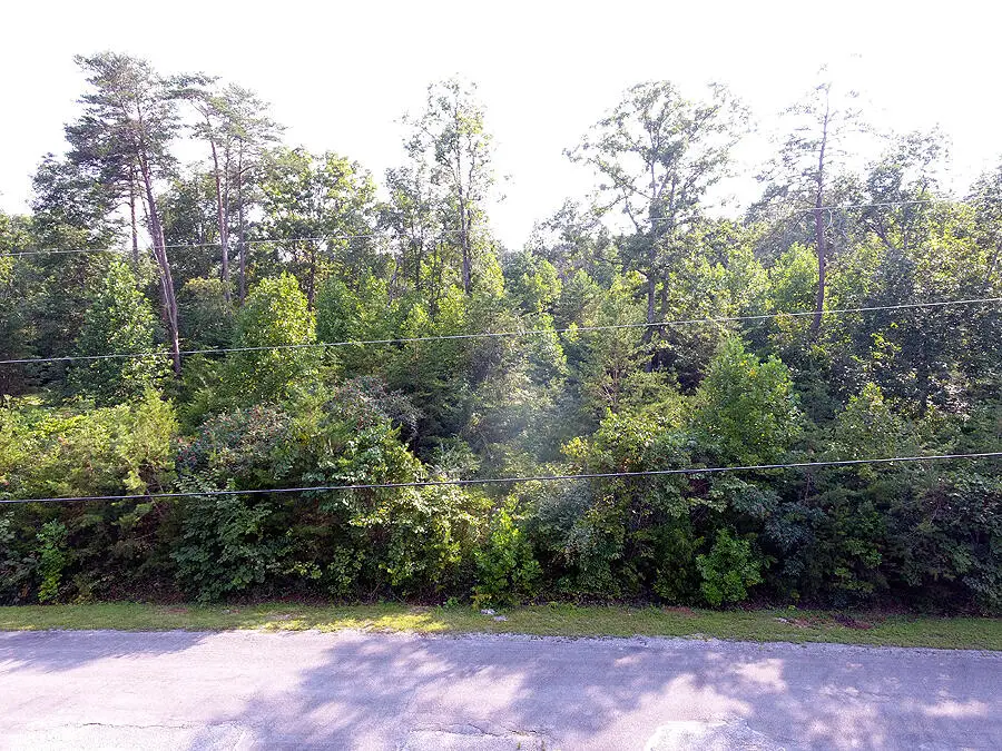 Lot 34 Doc Nichols Landing, Bronston, KY 42518 - #2