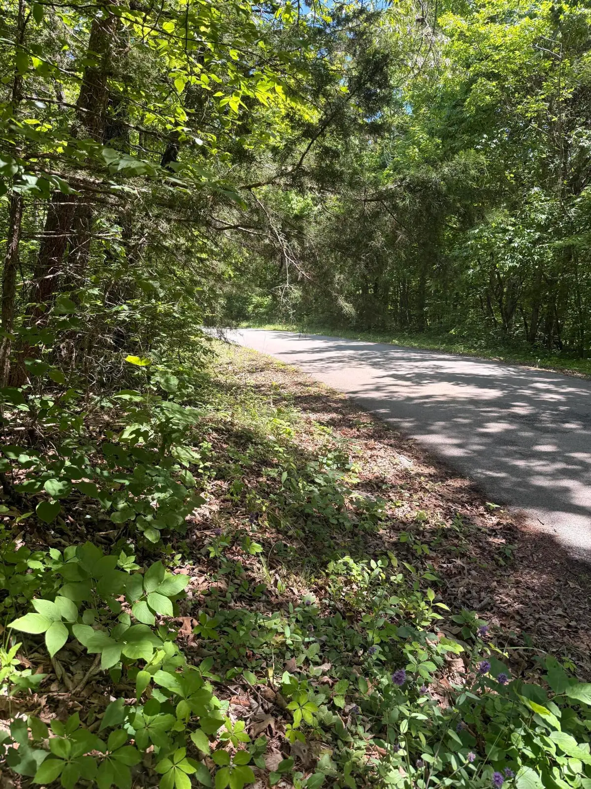 5 Acres  Pine Tree Circle, Nancy, KY 42544 - #1