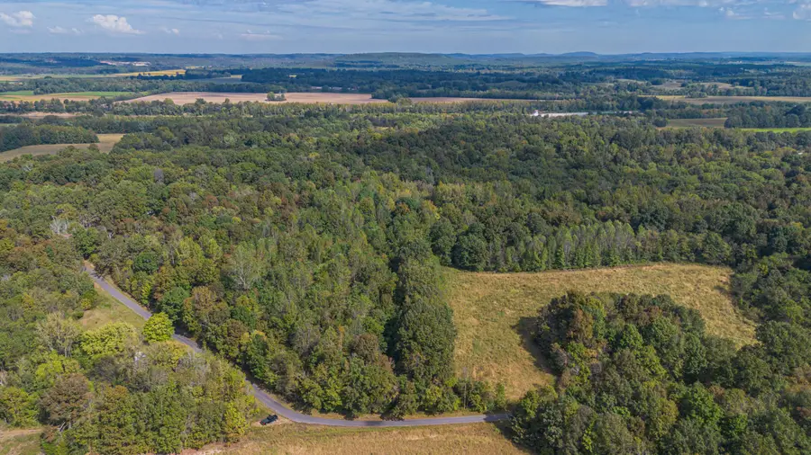 000 Dunlap Road, Smithland, KY 42081 - #3