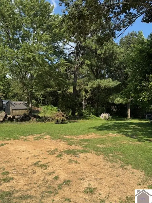 172 Mobile Heights, Mayfield, KY 42066 - #3