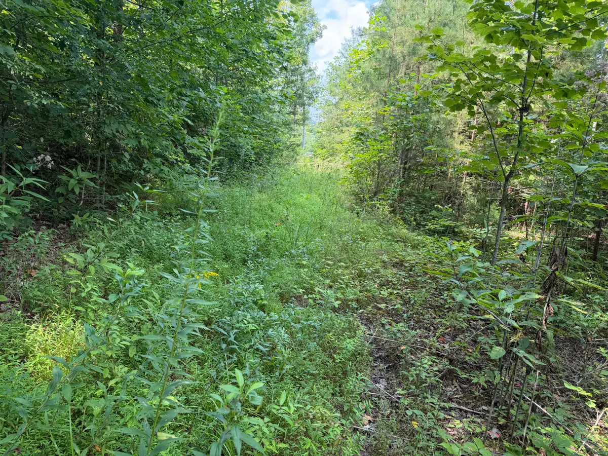 9 Tucker Hollow Road, Monticello, KY 42633 - #1