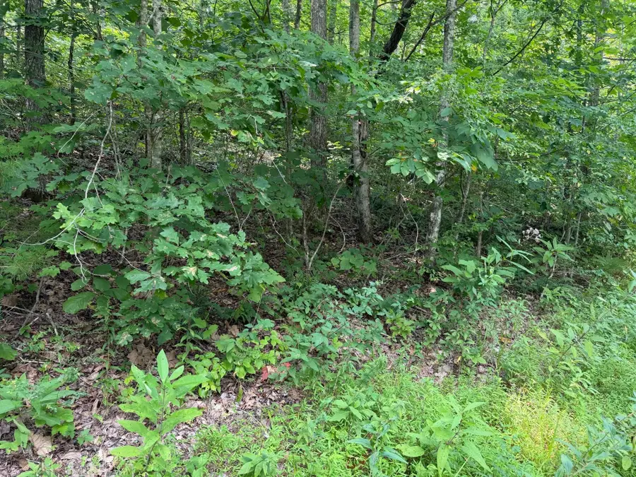 9 Tucker Hollow Road, Monticello, KY 42633 - #2
