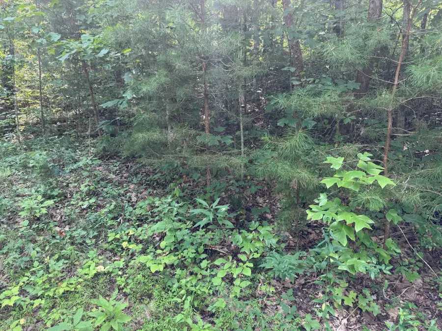 9 Tucker Hollow Road, Monticello, KY 42633 - #3