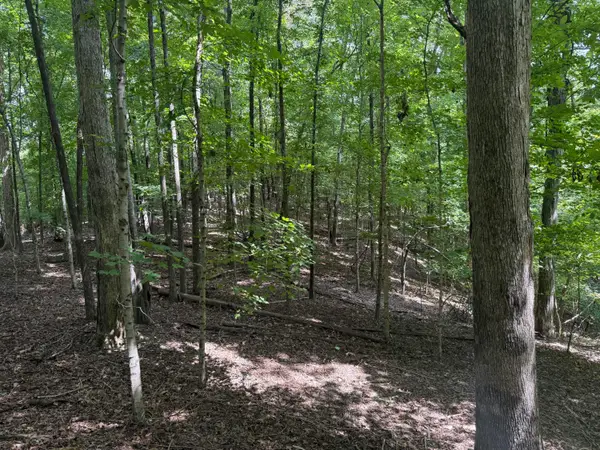 0 Perry Springs Road, Eddyville, KY 42038
