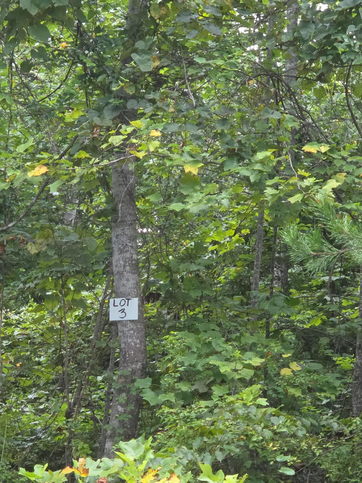 3 Buck Creek Circle, Somerset, KY 42501 - #1